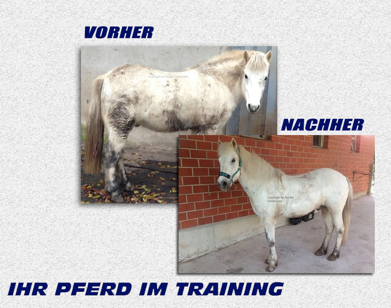 Equikinetic: Vorher - Nachher
